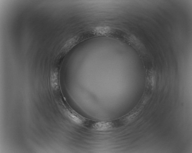 X0000052600526200507011200
