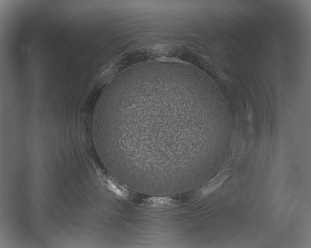 X0000052600528200507011200