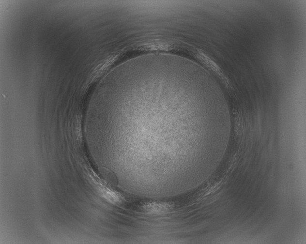 X0000052600537200507011159