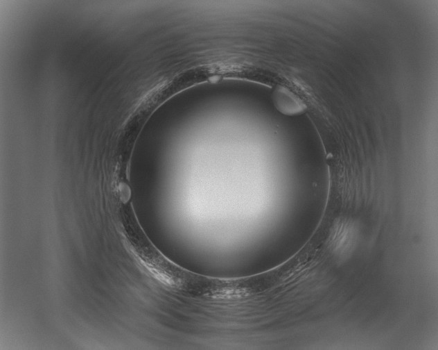 X0000052600543200507011159