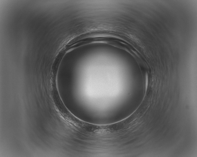 X0000052600544200507011159