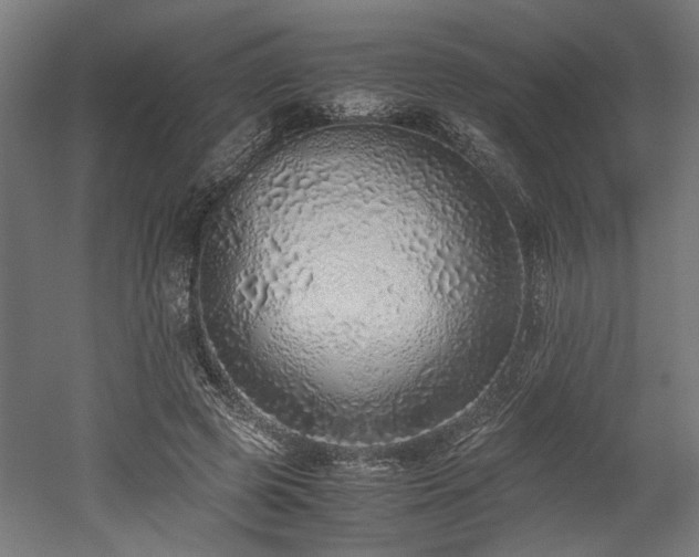 X0000052600545200507011159