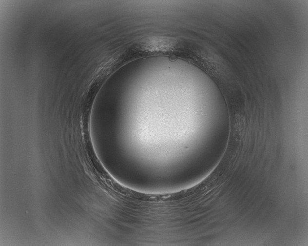 X0000052600547200507011159
