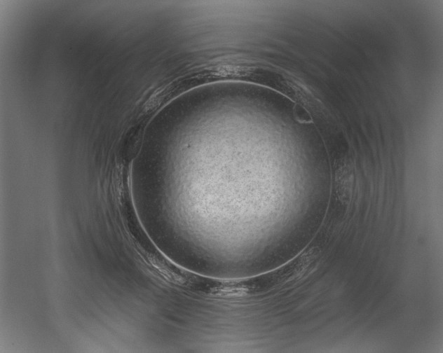 X0000052600554200507011159
