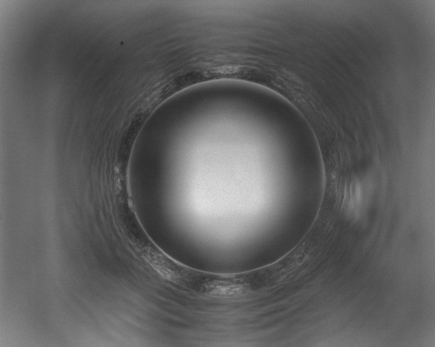 X0000052600555200507011159