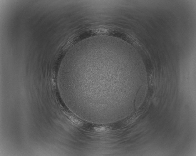 X0000052600561200507011159