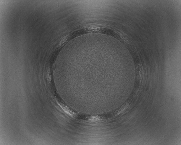 X0000052600562200507011159