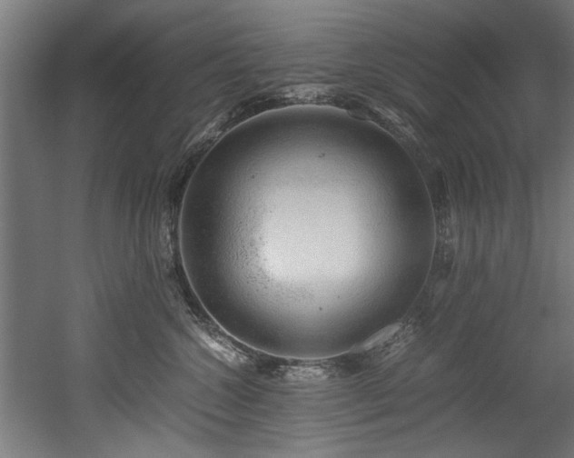 X0000052600572200507011200