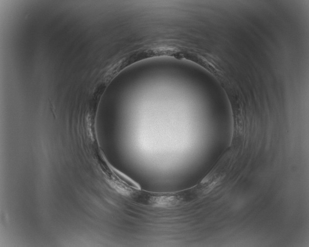 X0000052600575200507011200