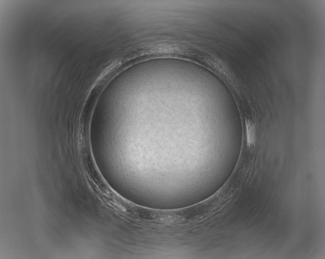X0000052600579200507011159