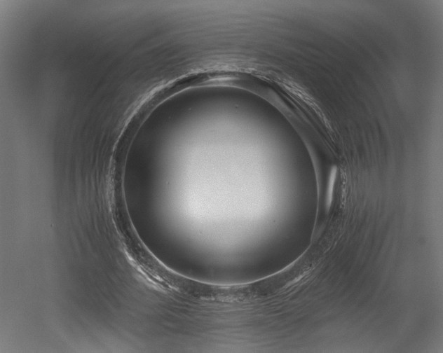 X0000052600580200507011159
