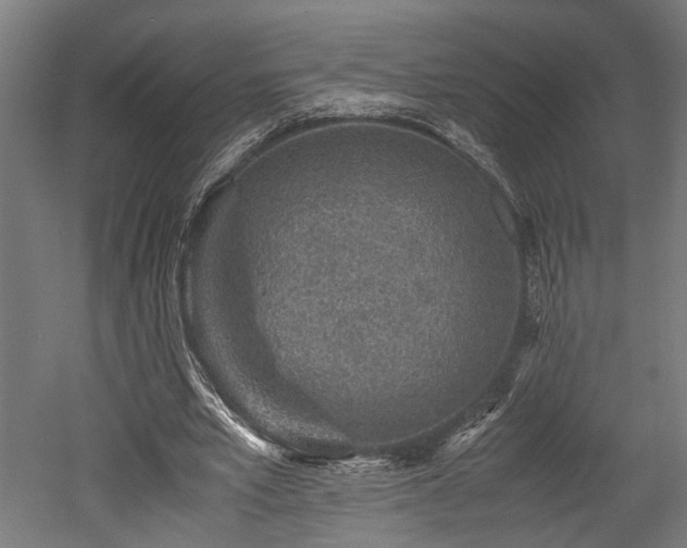 X0000052600581200507011159
