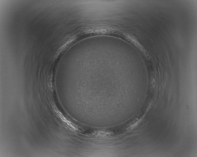 X0000052600585200507011159