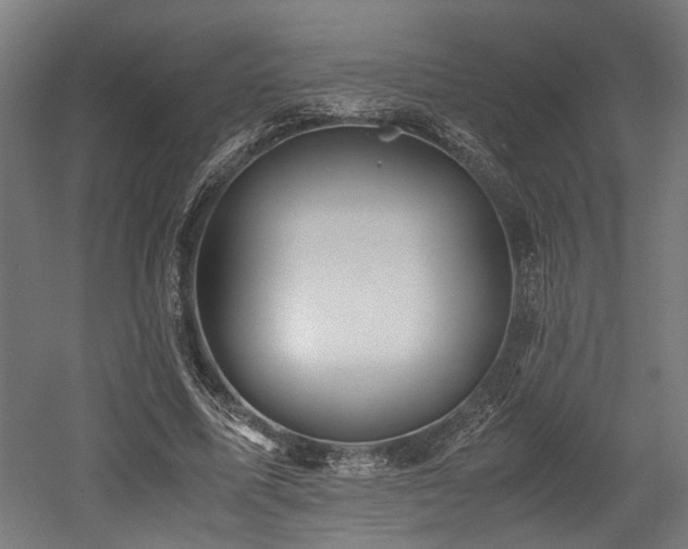 X0000052600587200507011159