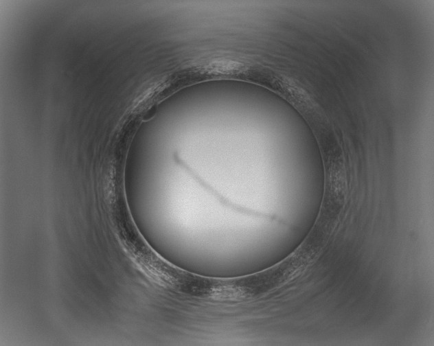 X0000052600591200507011159