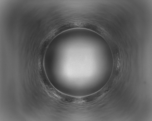 X0000052600595200507011159