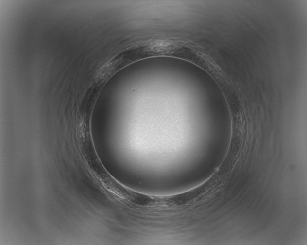 X0000052600597200507011158