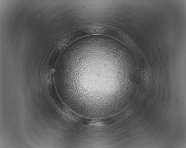 X0000052600602200507011158