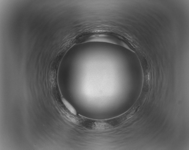 X0000052600605200507011158