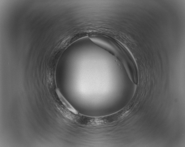 X0000052600607200507011158