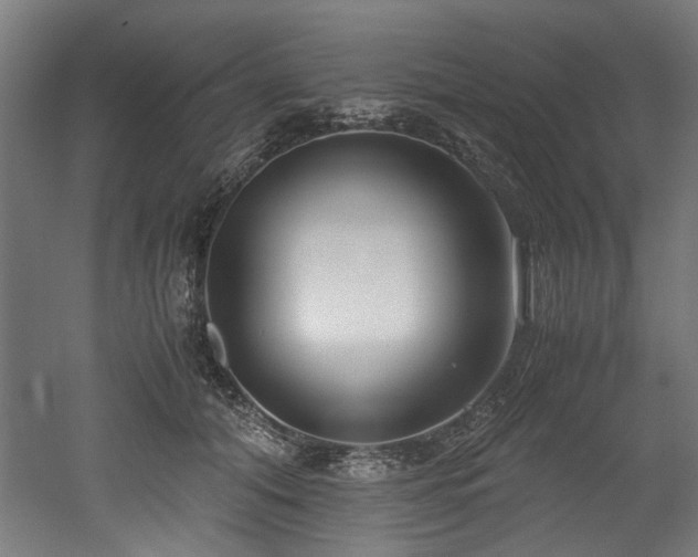 X0000052600608200507011158