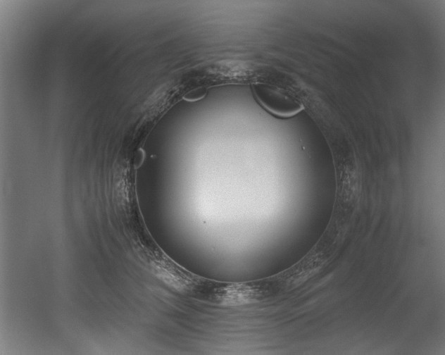 X0000052600612200507011158