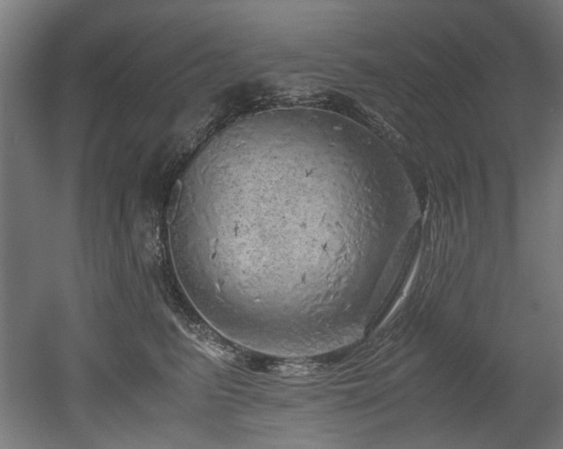 X0000052600615200507011158