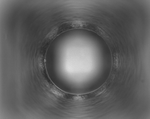 X0000052600616200507011158