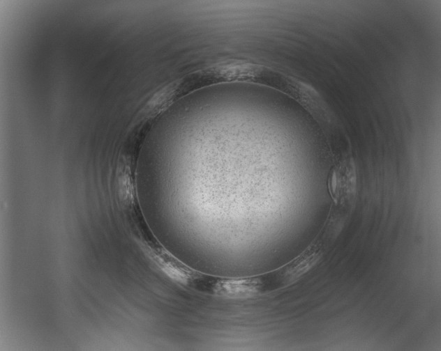 X0000052600622200507011158