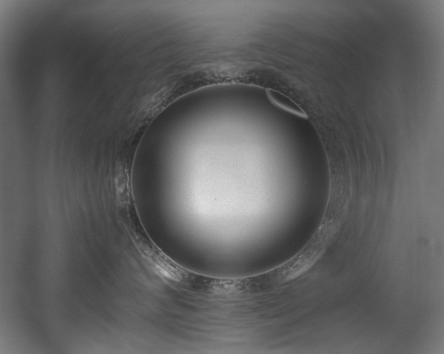 X0000052600624200507011158