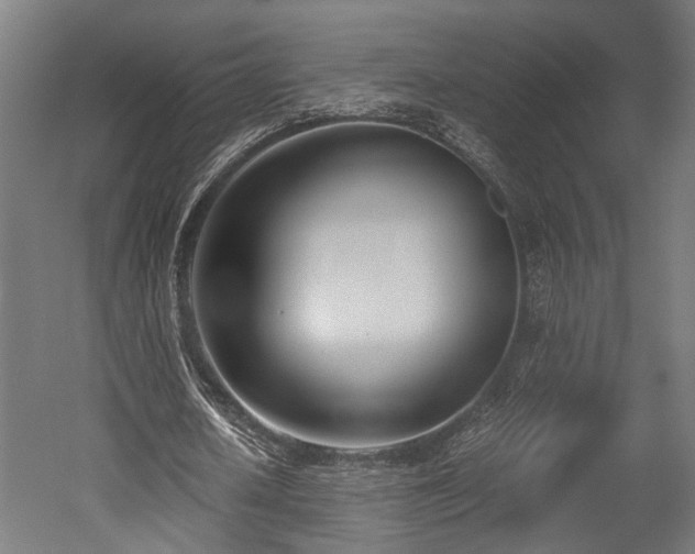 X0000052600626200507011157
