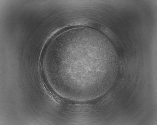 X0000052600628200507011157