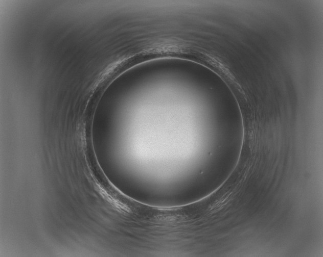 X0000052600629200507011157