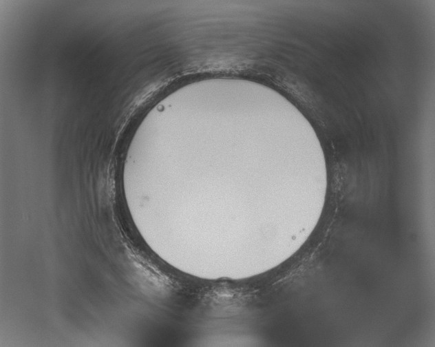 X0000052600632200507011157