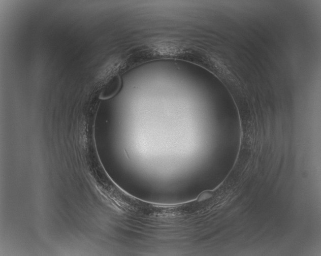 X0000052600639200507011157