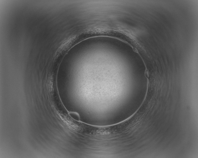 X0000052600640200507011157