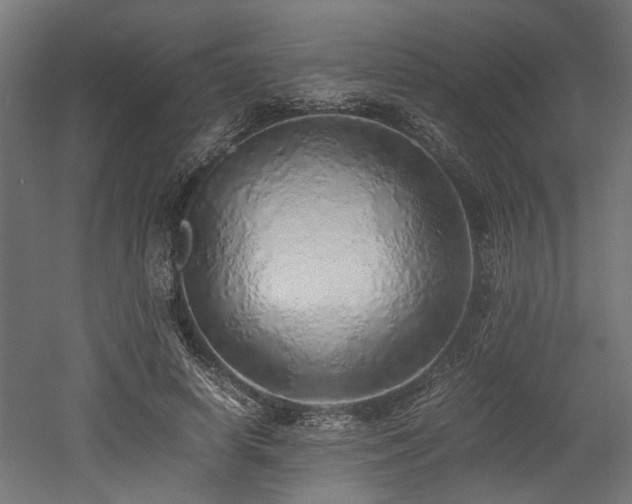 X0000052600642200507011158