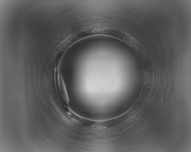 X0000052600648200507011158