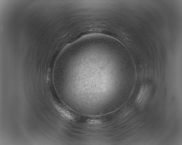 X0000052600649200507011158