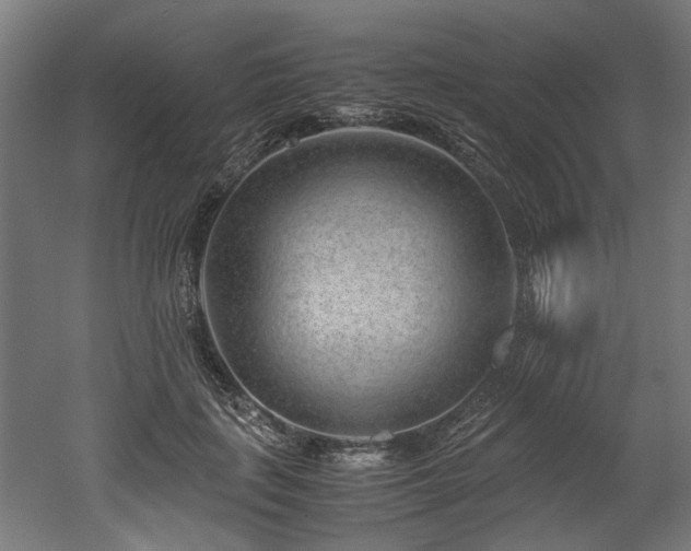 X0000052600651200507011158