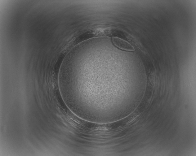 X0000052600659200507011158
