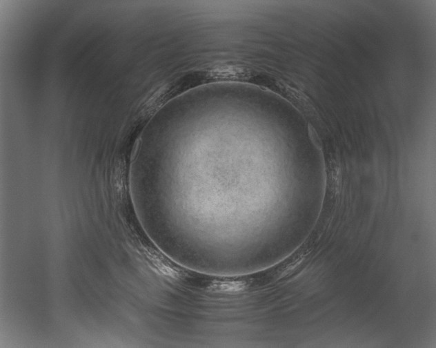 X0000052600665200507011158