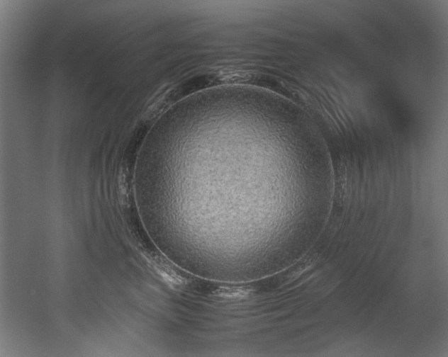 X0000052600667200507011158