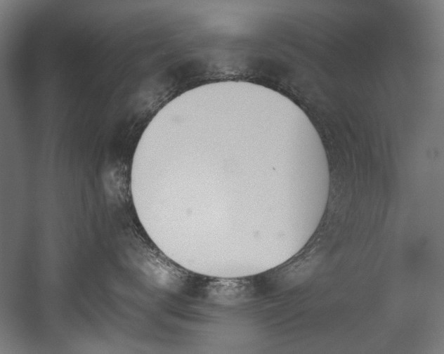 X0000052600672200507011158