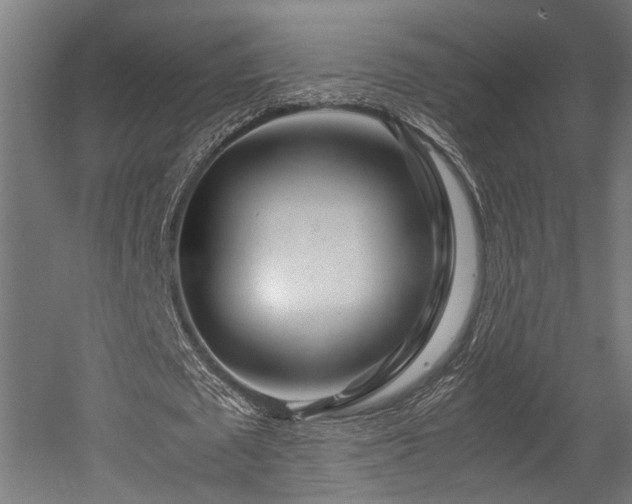 X0000052600673200507011157
