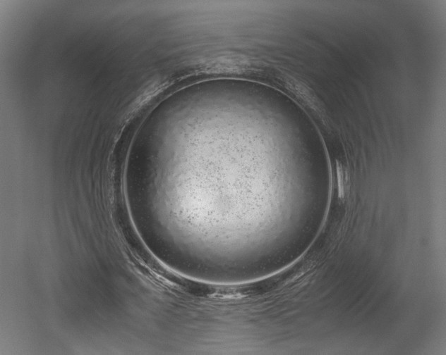 X0000052600675200507011157