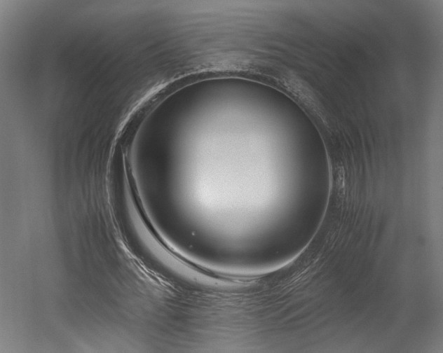X0000052600676200507011157