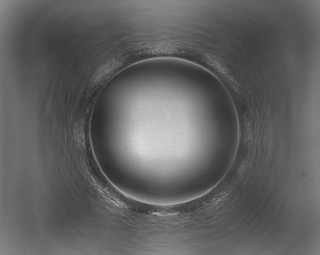X0000052600681200507011157