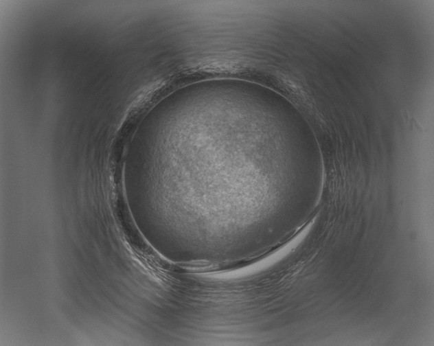 X0000052600688200507011157