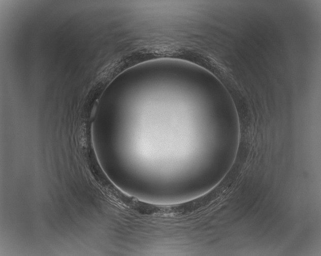 X0000052600689200507011157
